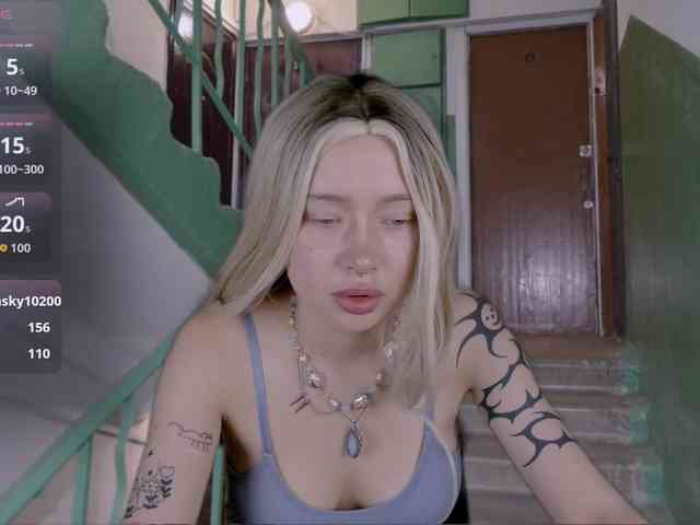 DragonFlya webcam