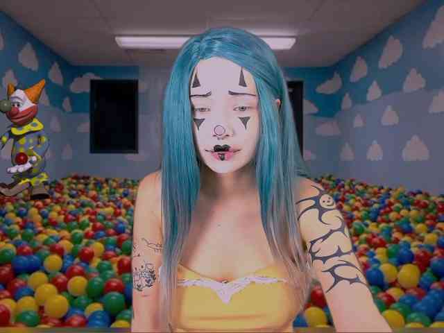 DragonFlya webcam