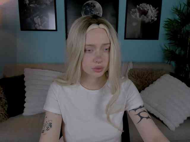 DragonFlya webcam