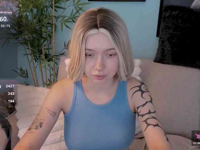 DragonFlya webcam