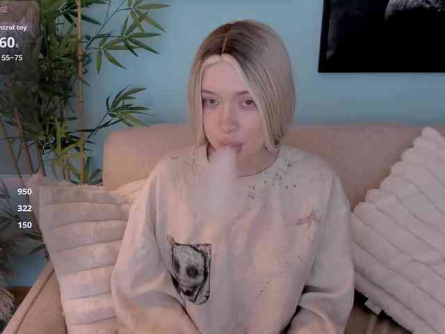 DragonFlya webcam
