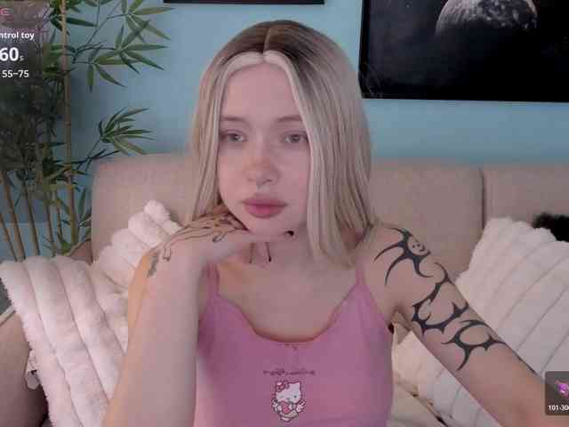 DragonFlya webcam