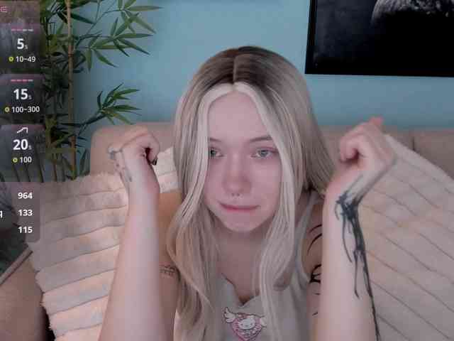 DragonFlya webcam