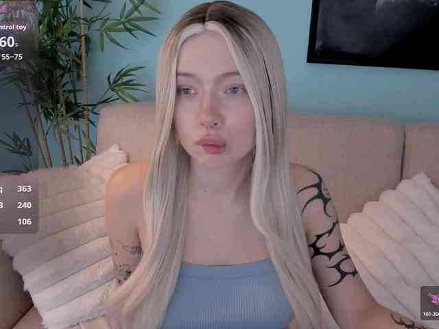 DragonFlya webcam