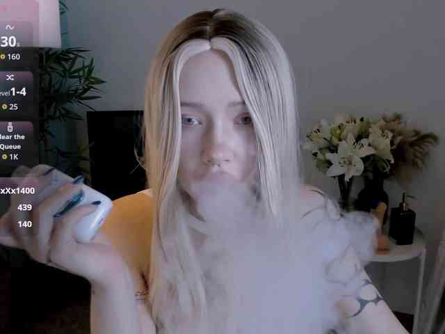 DragonFlya webcam