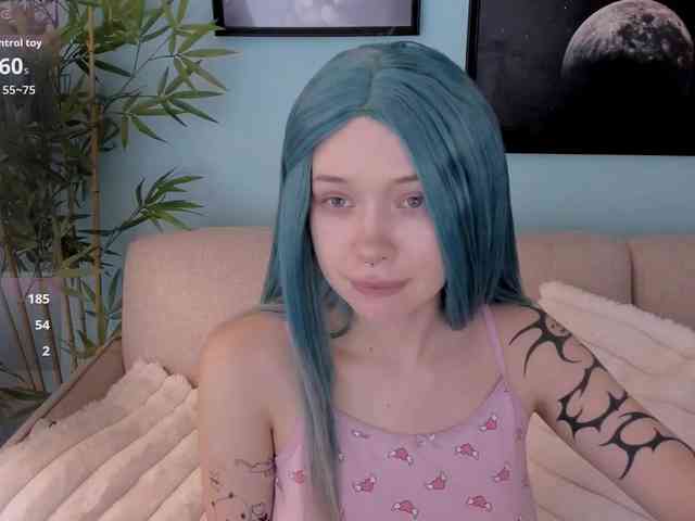 DragonFlya webcam