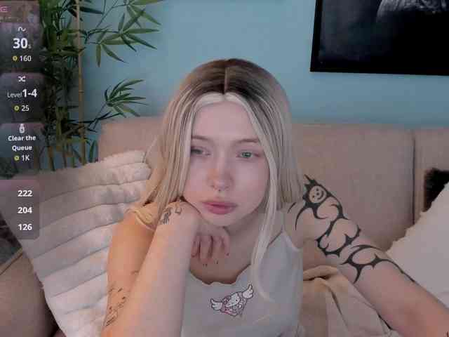 DragonFlya webcam