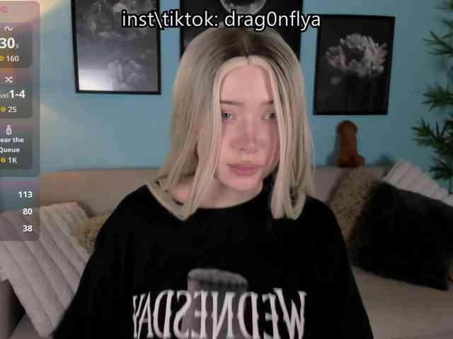 DragonFlya webcam