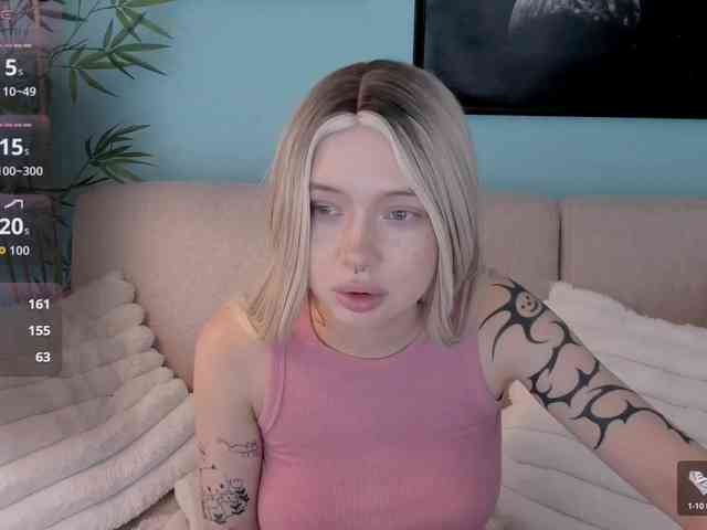 DragonFlya webcam