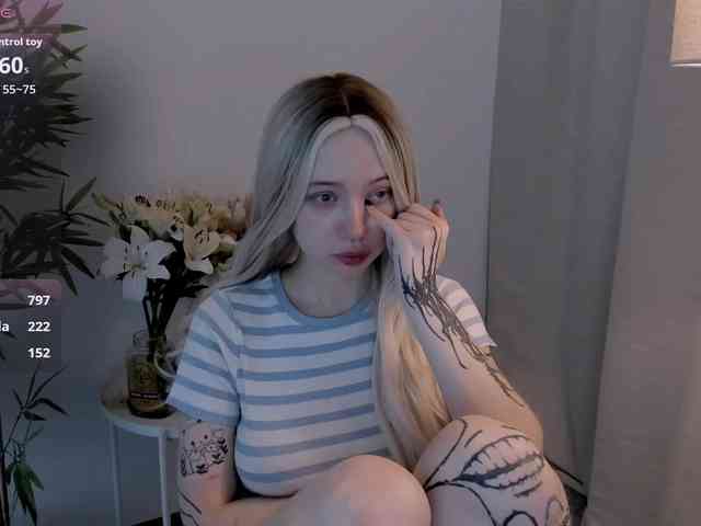 DragonFlya webcam
