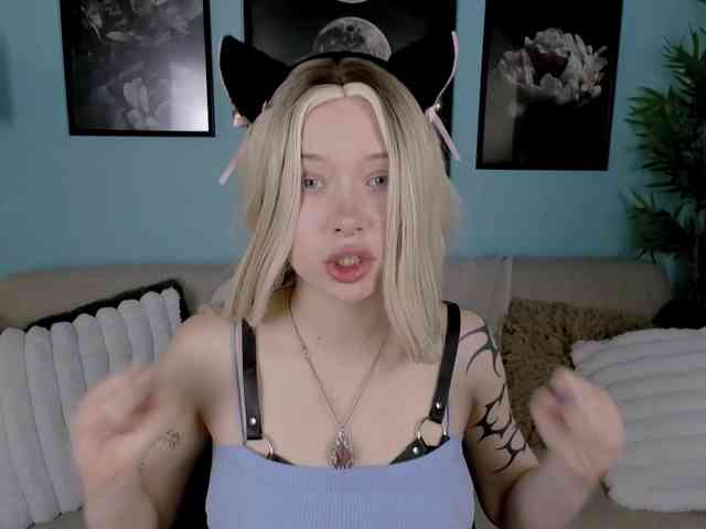 DragonFlya webcam