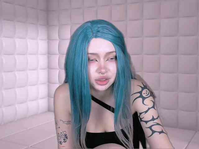 DragonFlya webcam