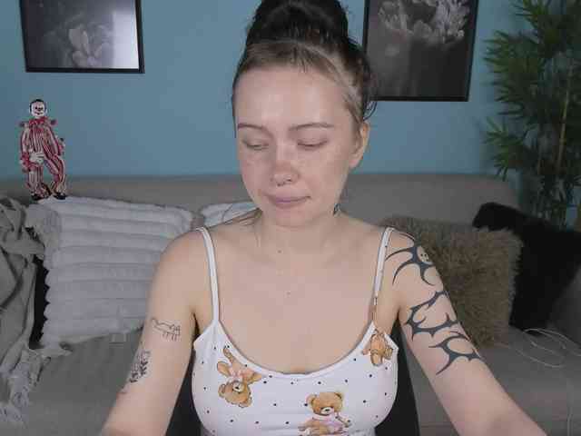 DragonFlya webcam