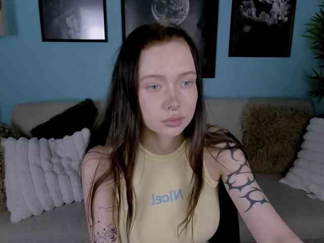 DragonFlya webcam