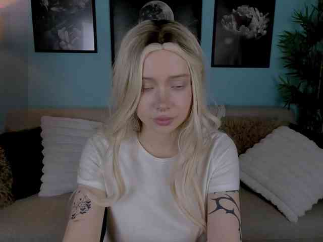 DragonFlya webcam