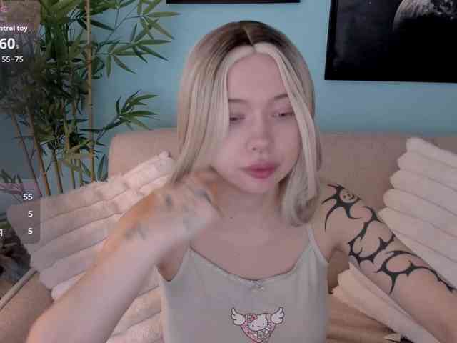 DragonFlya webcam