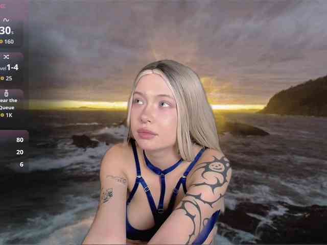 DragonFlya webcam