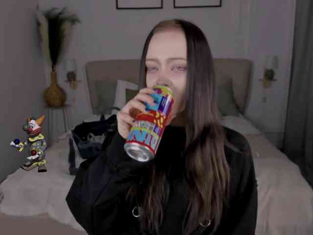 DragonFlya webcam