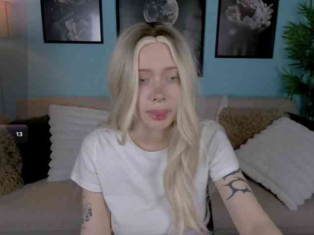 DragonFlya webcam