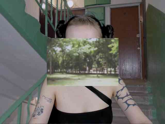 DragonFlya webcam