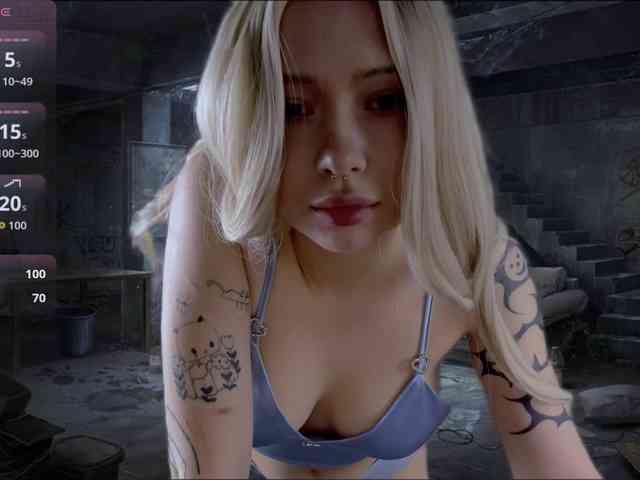 DragonFlya webcam