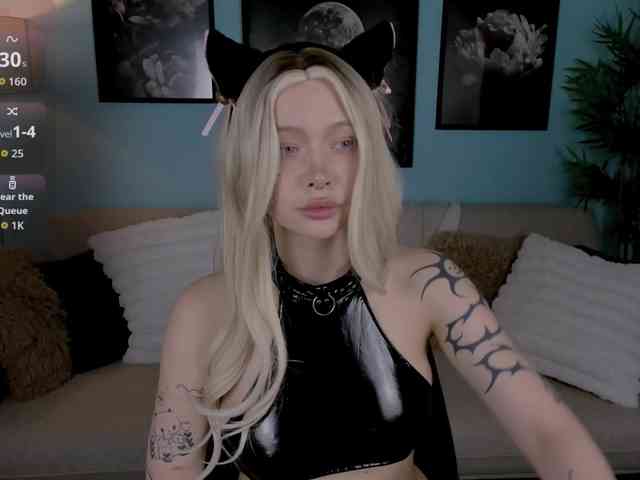 DragonFlya webcam