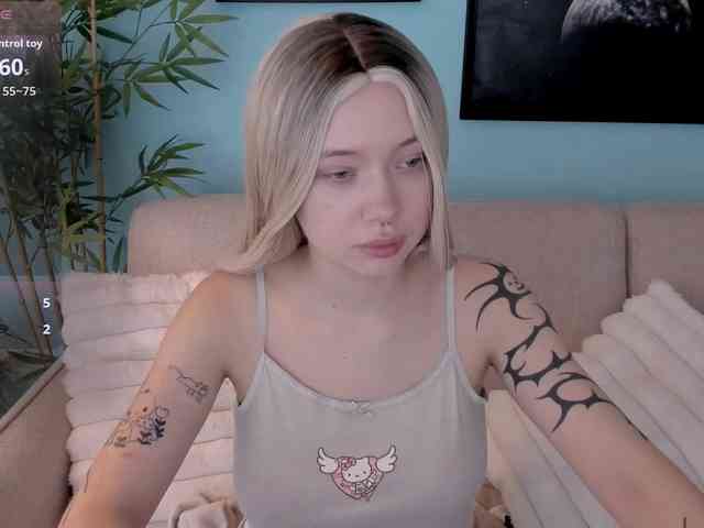 DragonFlya webcam