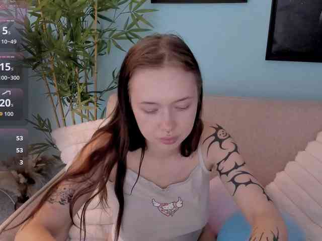 DragonFlya webcam