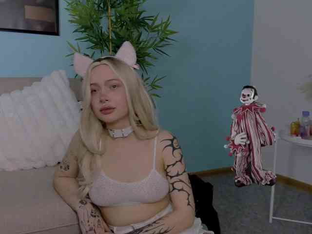DragonFlya webcam