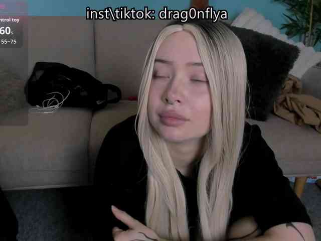 DragonFlya webcam