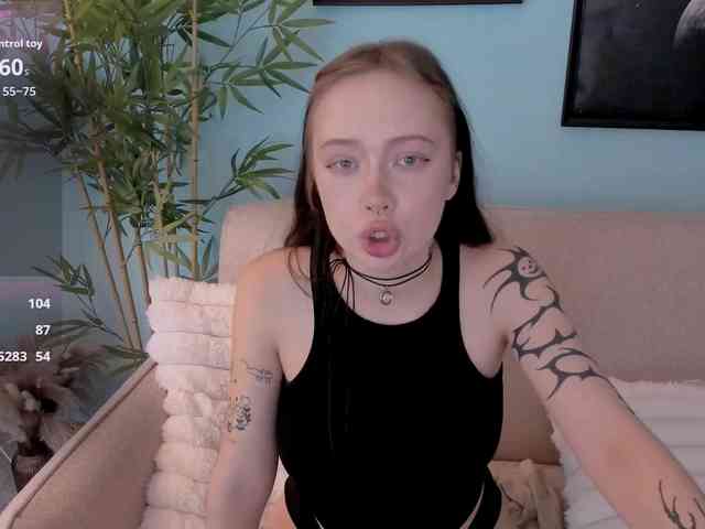 DragonFlya webcam