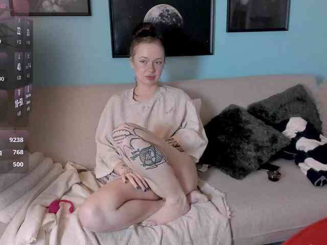 DragonFlya webcam