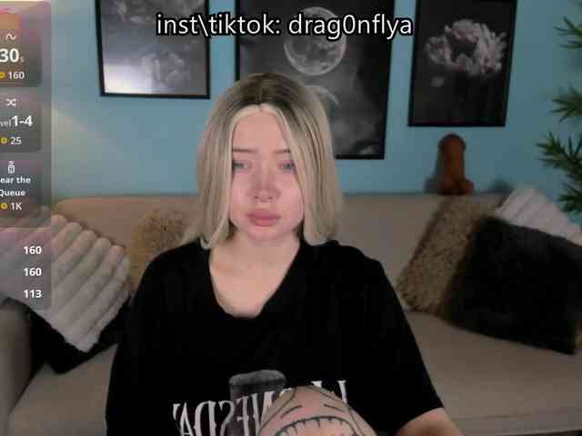 DragonFlya webcam