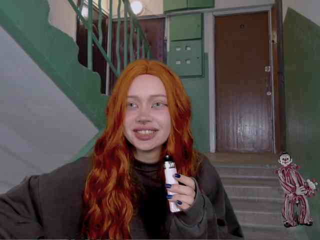 DragonFlya webcam