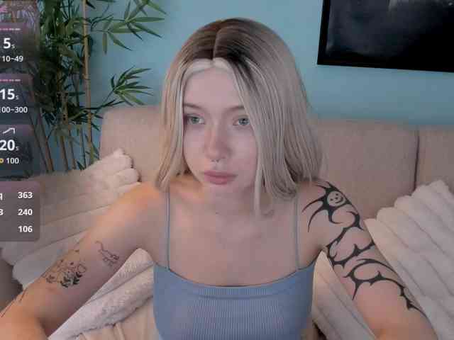 DragonFlya webcam