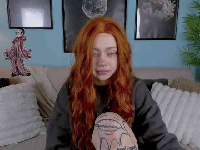 DragonFlya webcam
