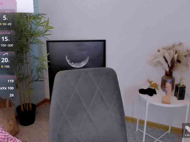 DragonFlya webcam