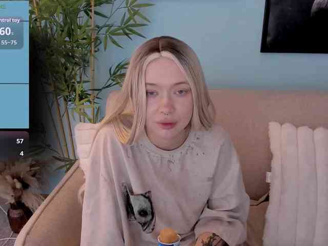 DragonFlya webcam