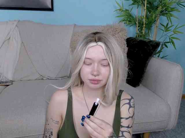 DragonFlya webcam