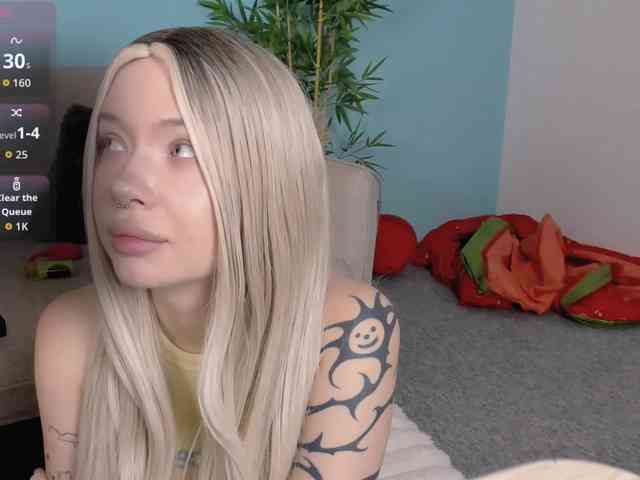 DragonFlya webcam