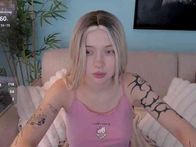 DragonFlya webcam