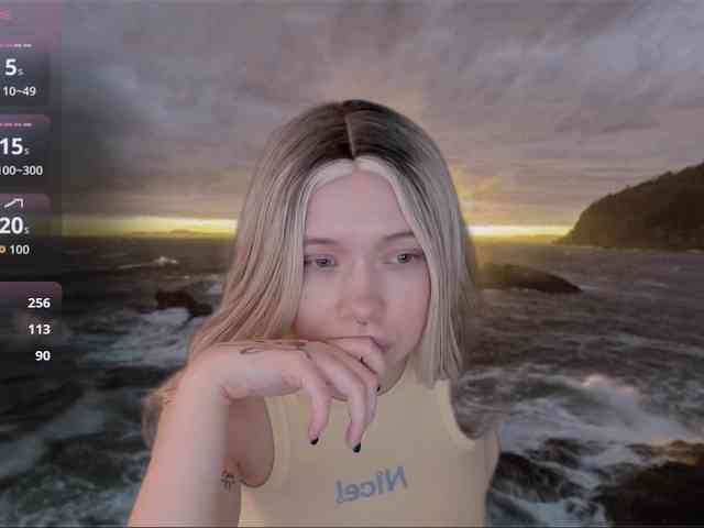 DragonFlya webcam