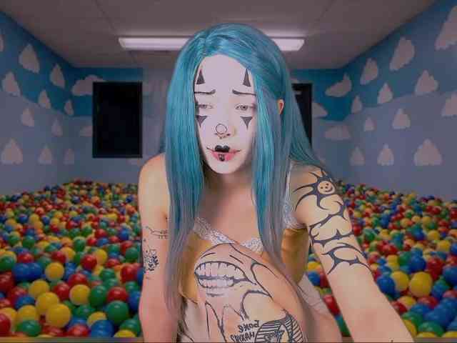 DragonFlya webcam
