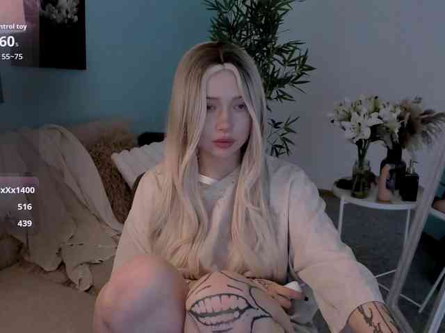DragonFlya webcam