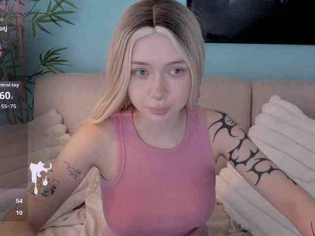 DragonFlya webcam