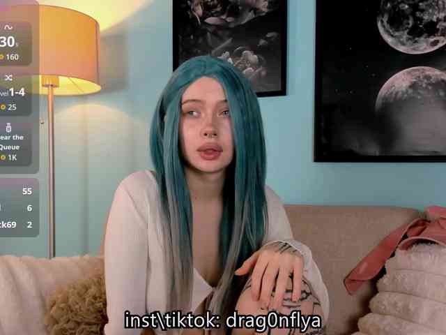 DragonFlya webcam