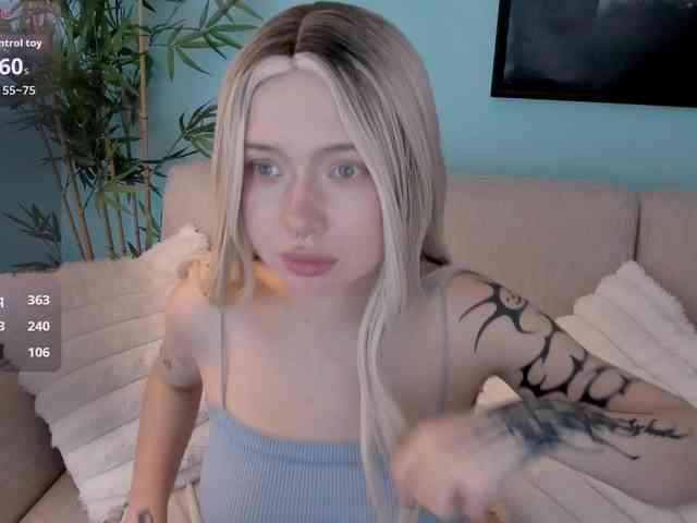 DragonFlya webcam