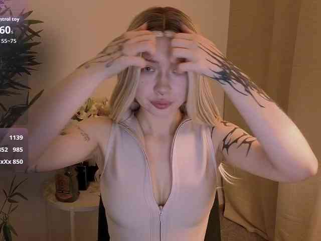 DragonFlya webcam
