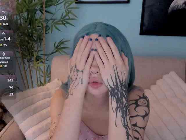 DragonFlya webcam
