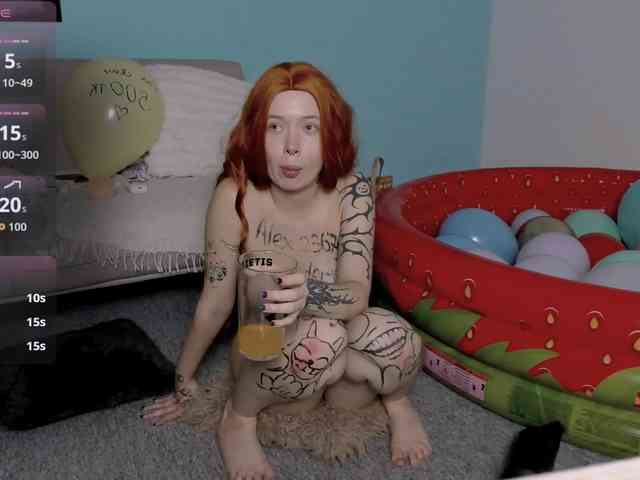 DragonFlya webcam